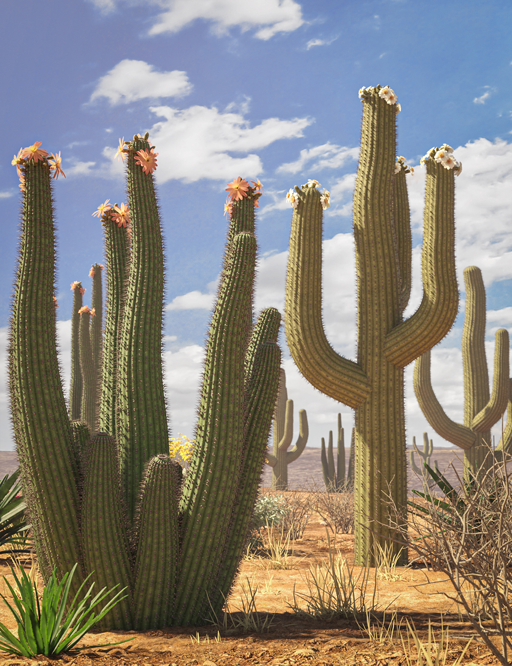 Predatron Organ Pipe and Saguaro Cactus Plants by: Predatron, 3D Models by Daz 3D