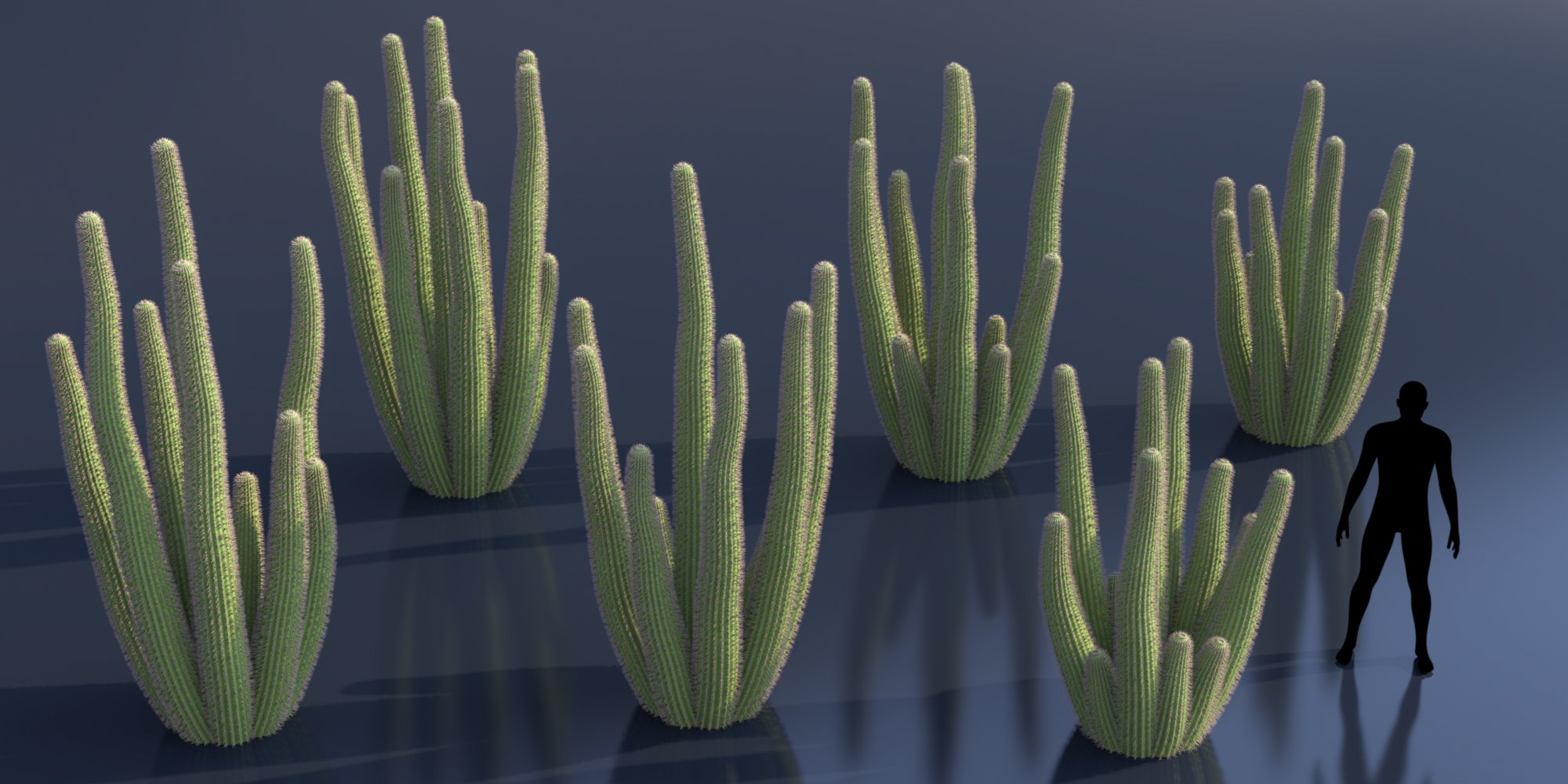 Predatron Organ Pipe and Saguaro Cactus Plants