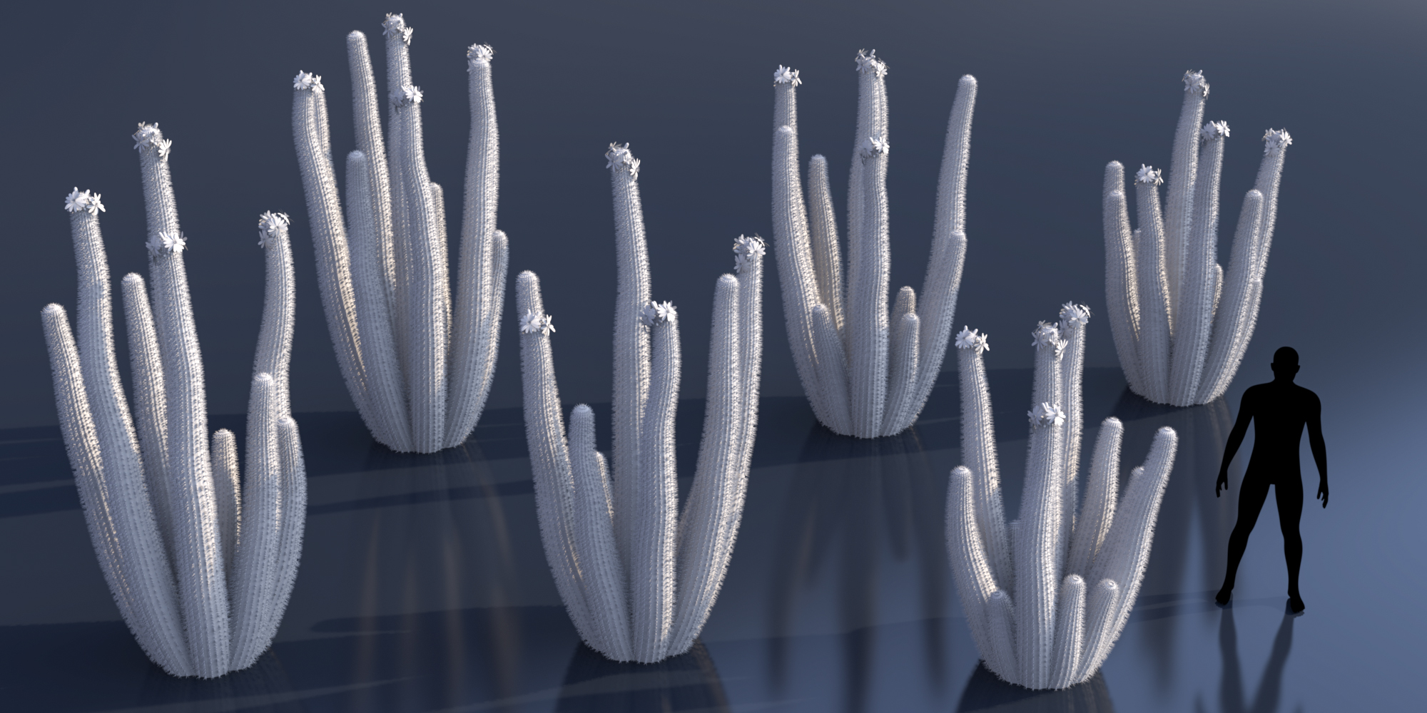 Predatron Predatron Organ Pipe and Saguaro Cactus Plants | Daz 3D