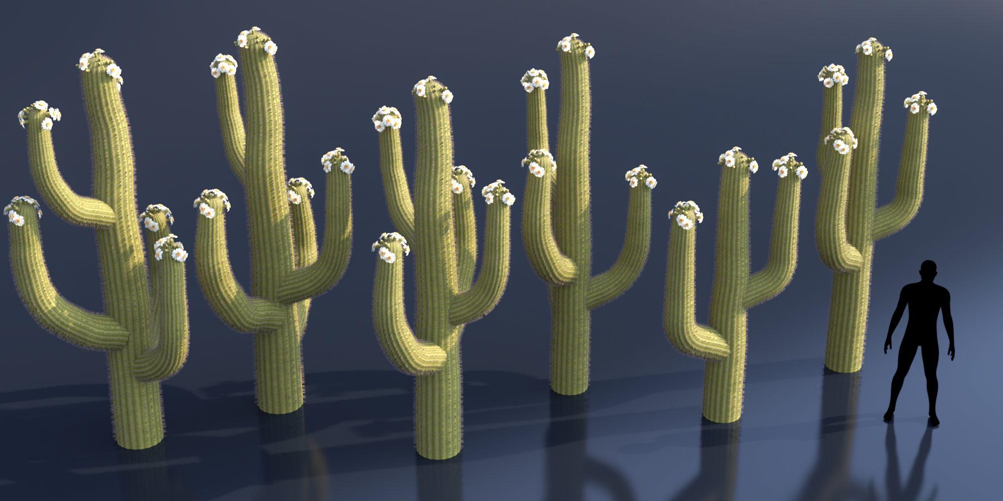 Predatron Predatron Desert Plants Bundle | Daz 3D