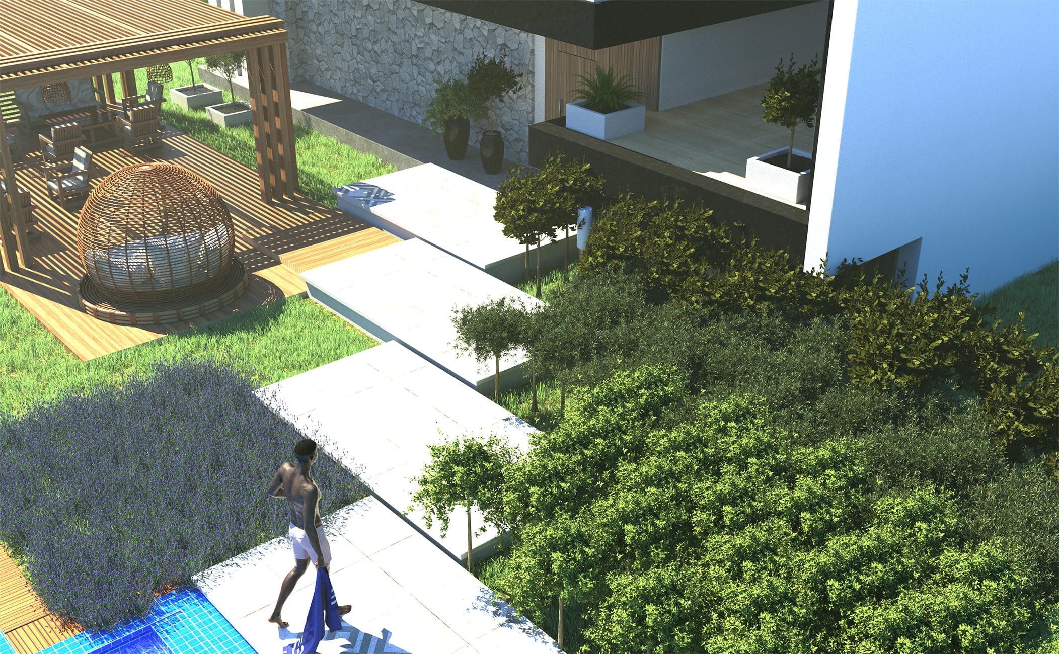 Garden Plants - Formal Trees | Daz 3D