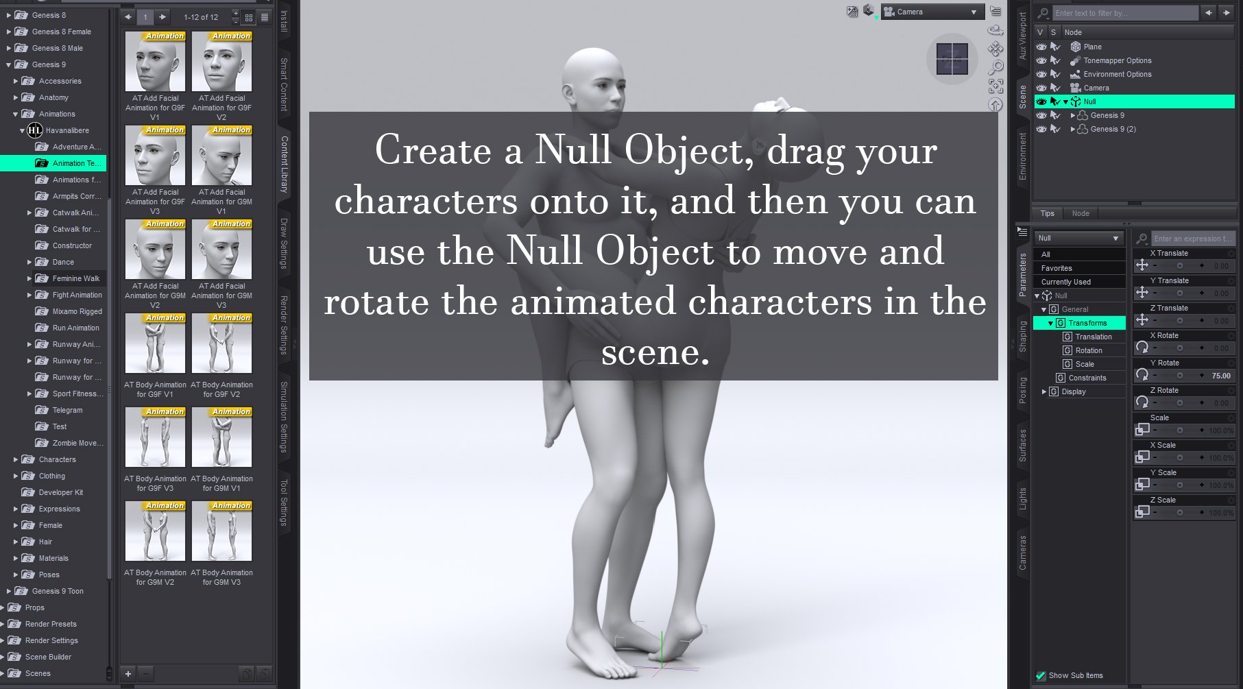 Animation Tenderness for Genesis 8 and 9