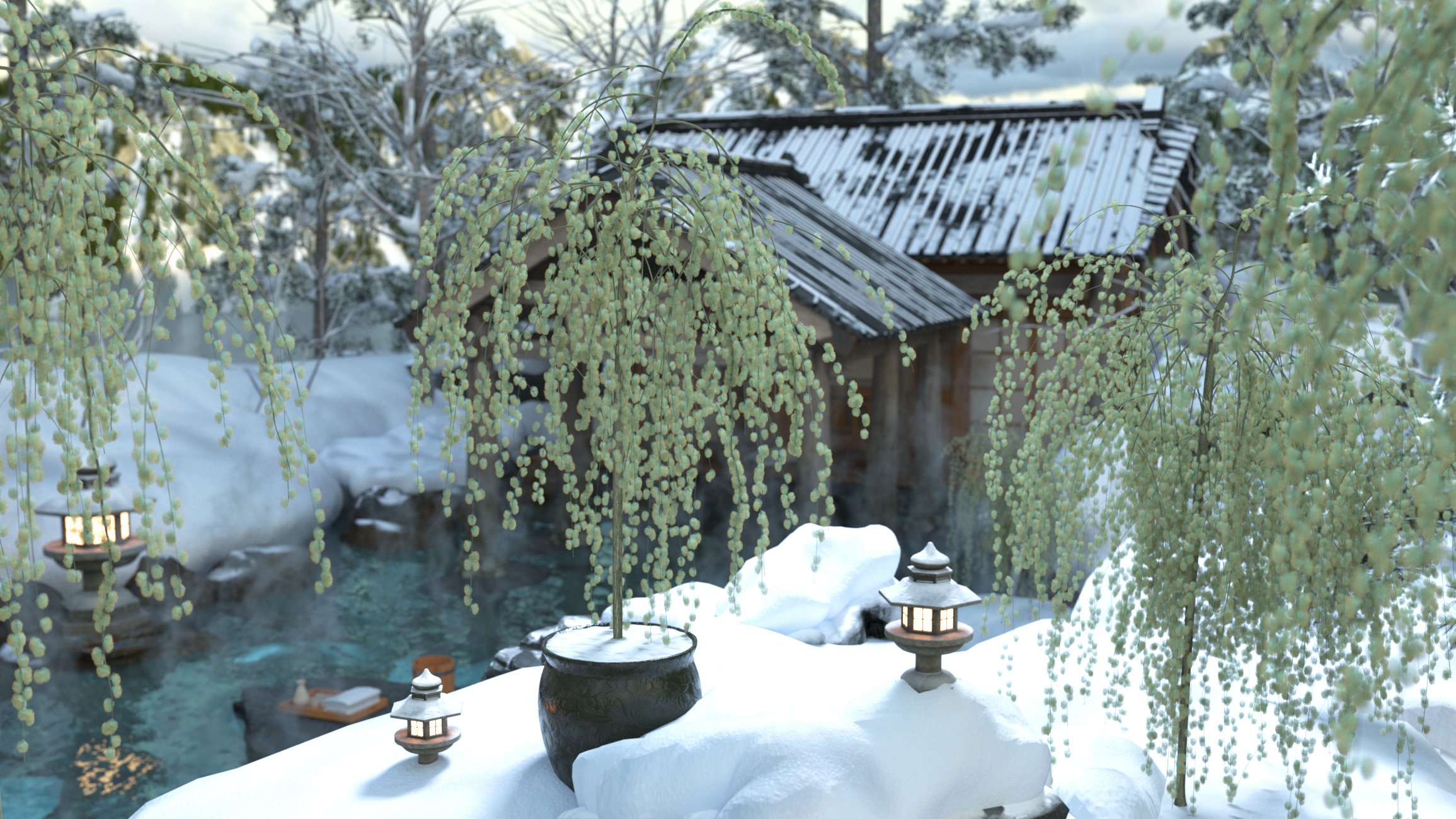 Kilmarnock Willow - Dwarf Weeping Willow Trees