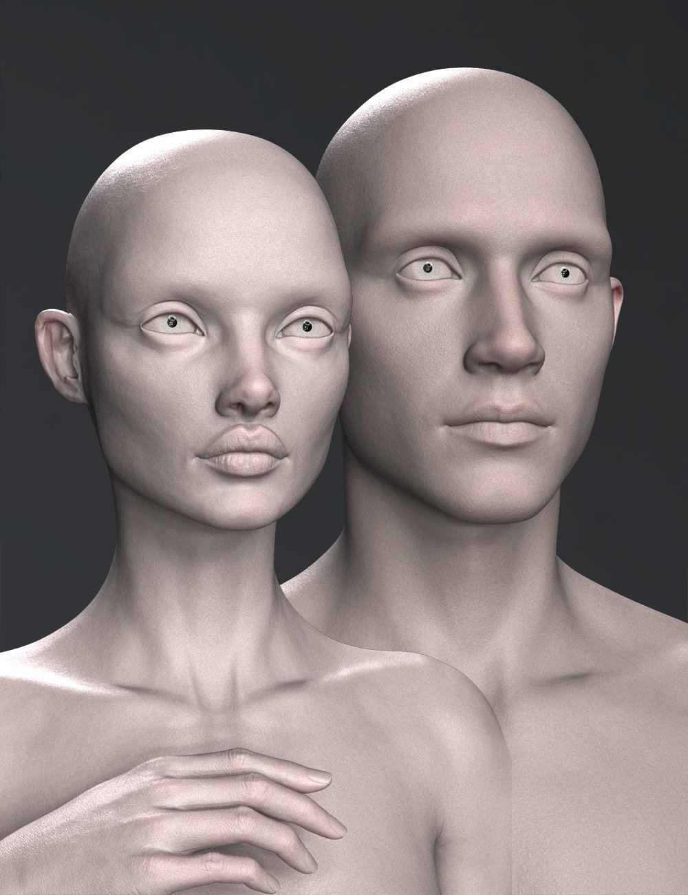 Kayao Duet HD Add-on Plus Anatomical Elements for Genesis 9 by: Chrryt, 3D Models by Daz 3D