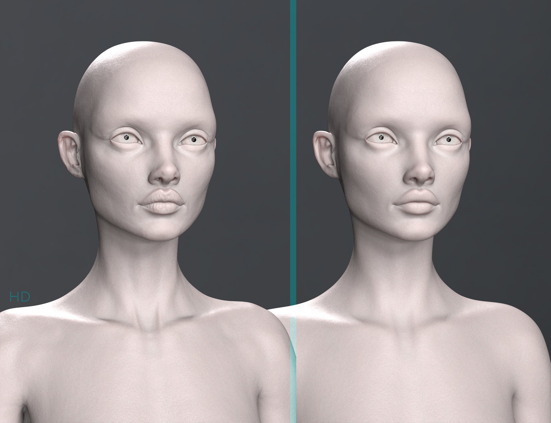 Kayao Duet HD Add-on Plus Anatomical Elements for Genesis 9