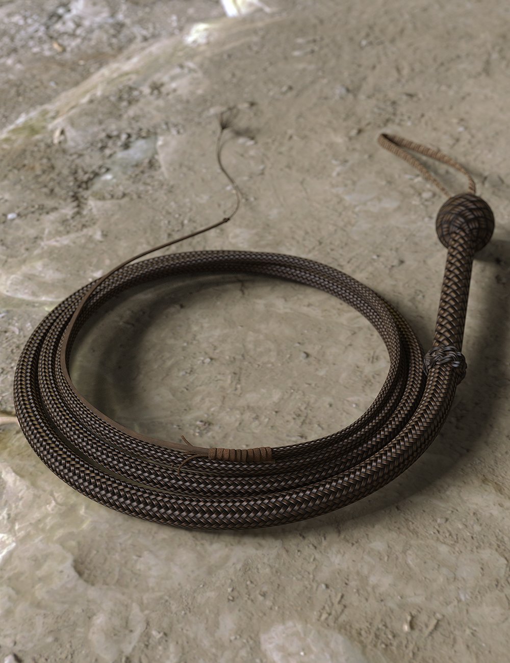 Fully Poseable Bull Whip by: 3D Universe, 3D Models by Daz 3D