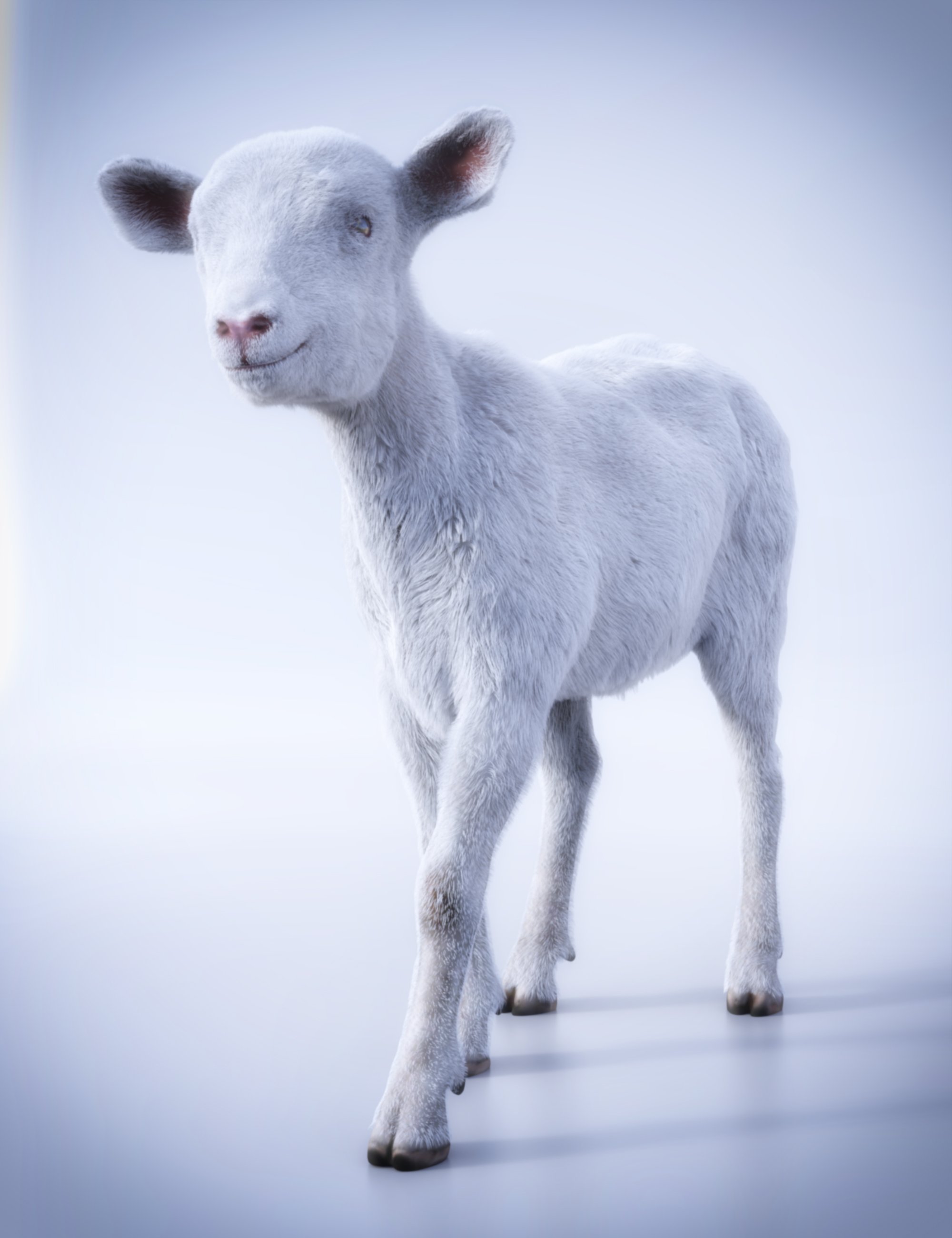 Kid for Goat by AM by: Alessandro_AM, 3D Models by Daz 3D