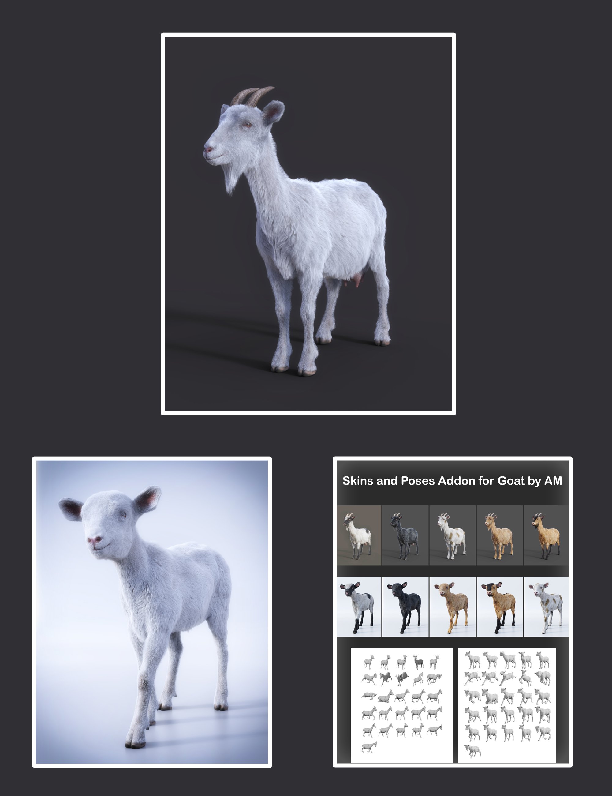 Goat by AM Bundle by: Alessandro_AM, 3D Models by Daz 3D