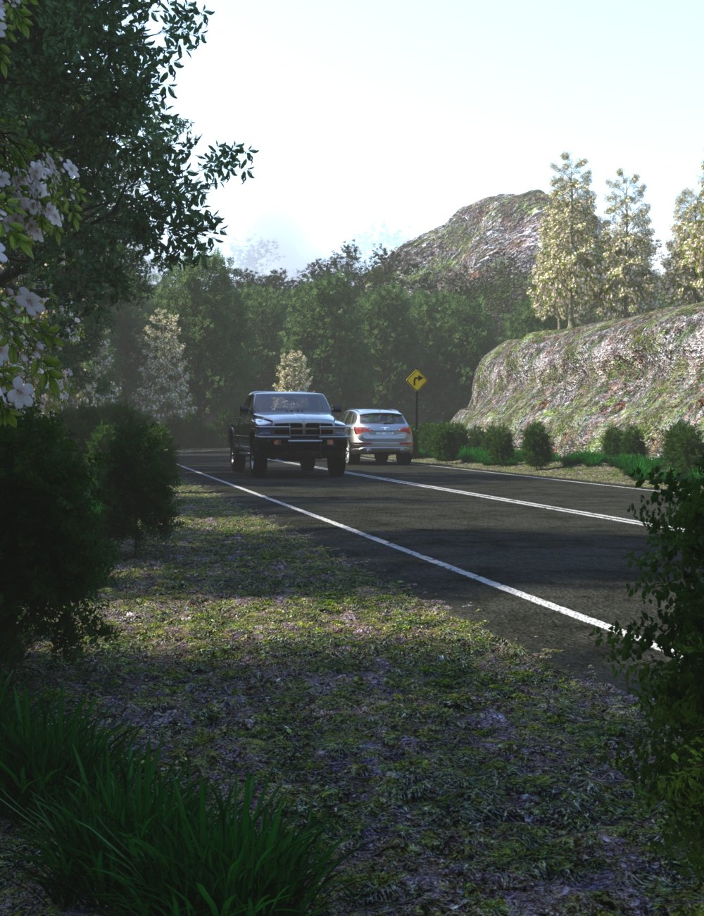 The Road by: JeffersonAF, 3D Models by Daz 3D