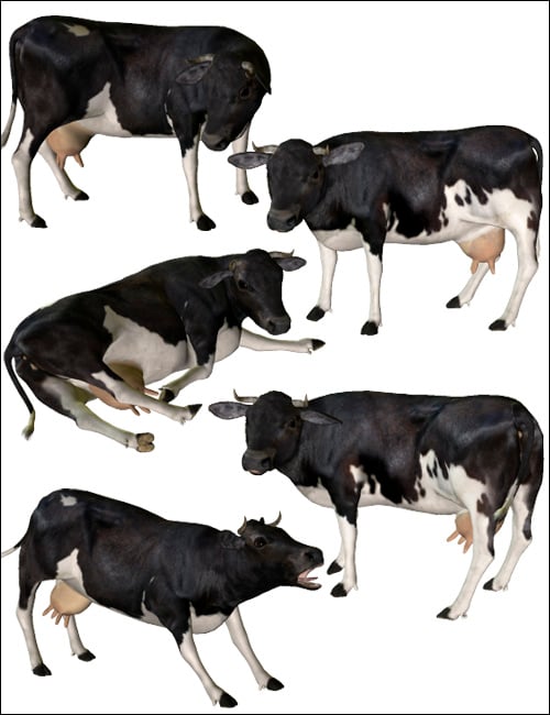 Noggin's Cow Noggin's Cow by: noggin, 3D Models by Daz 3D