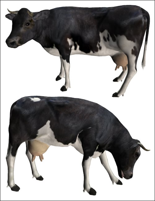 Noggin's Cow by: noggin, 3D Models by Daz 3D
