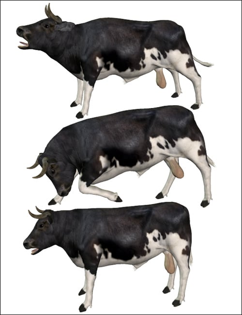 Noggin's Bull and Calf by: noggin, 3D Models by Daz 3D