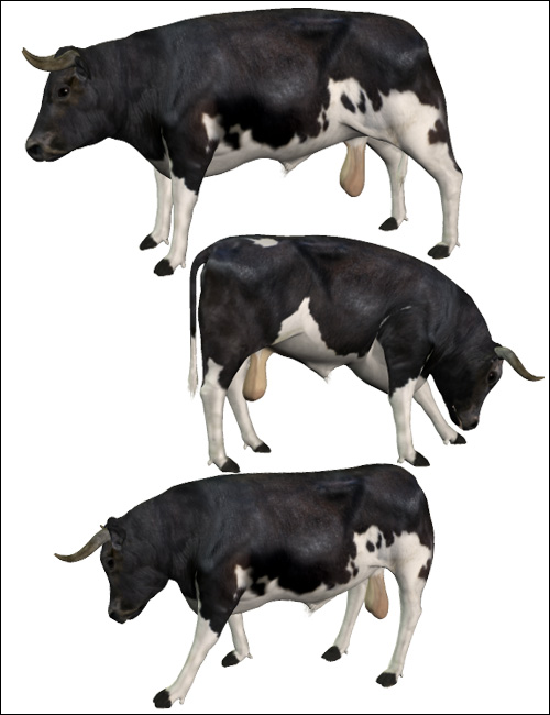Noggin's Bull and Calf by: noggin, 3D Models by Daz 3D