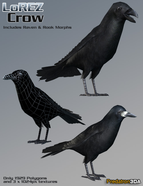 LoREZ Crow by: Predatron, 3D Models by Daz 3D