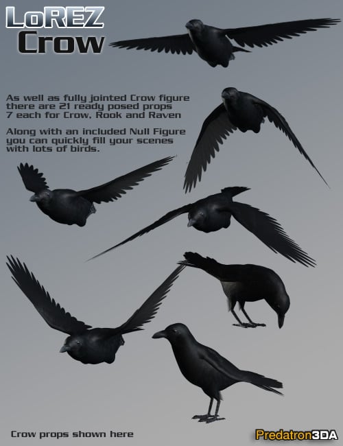 LoREZ Crow by: Predatron, 3D Models by Daz 3D