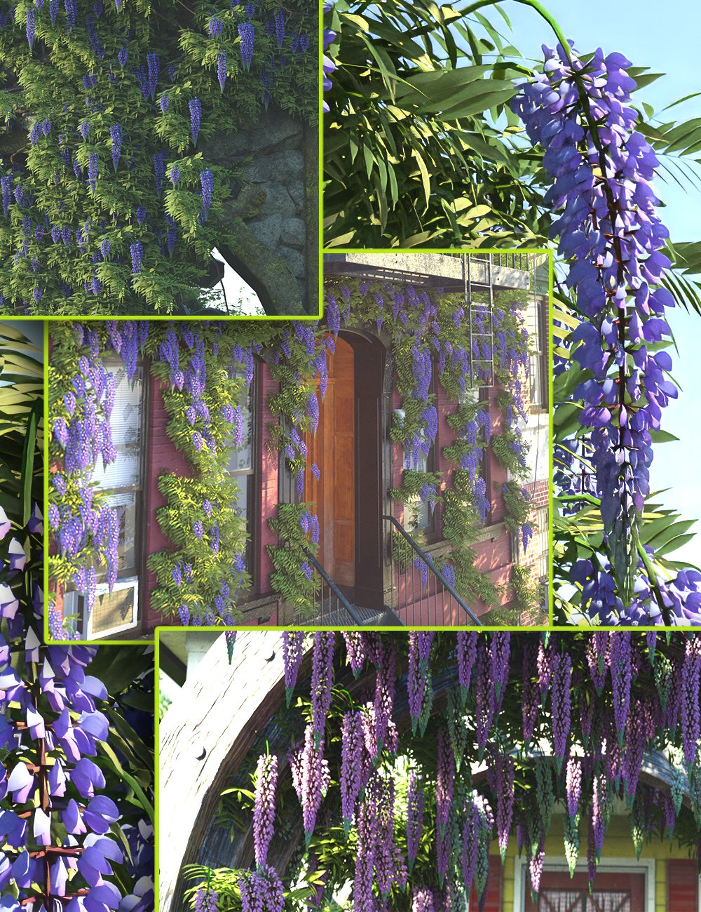 Scatters - Wisteria - With Ultra Scatter 2 Presets by: MartinJFrost, 3D Models by Daz 3D