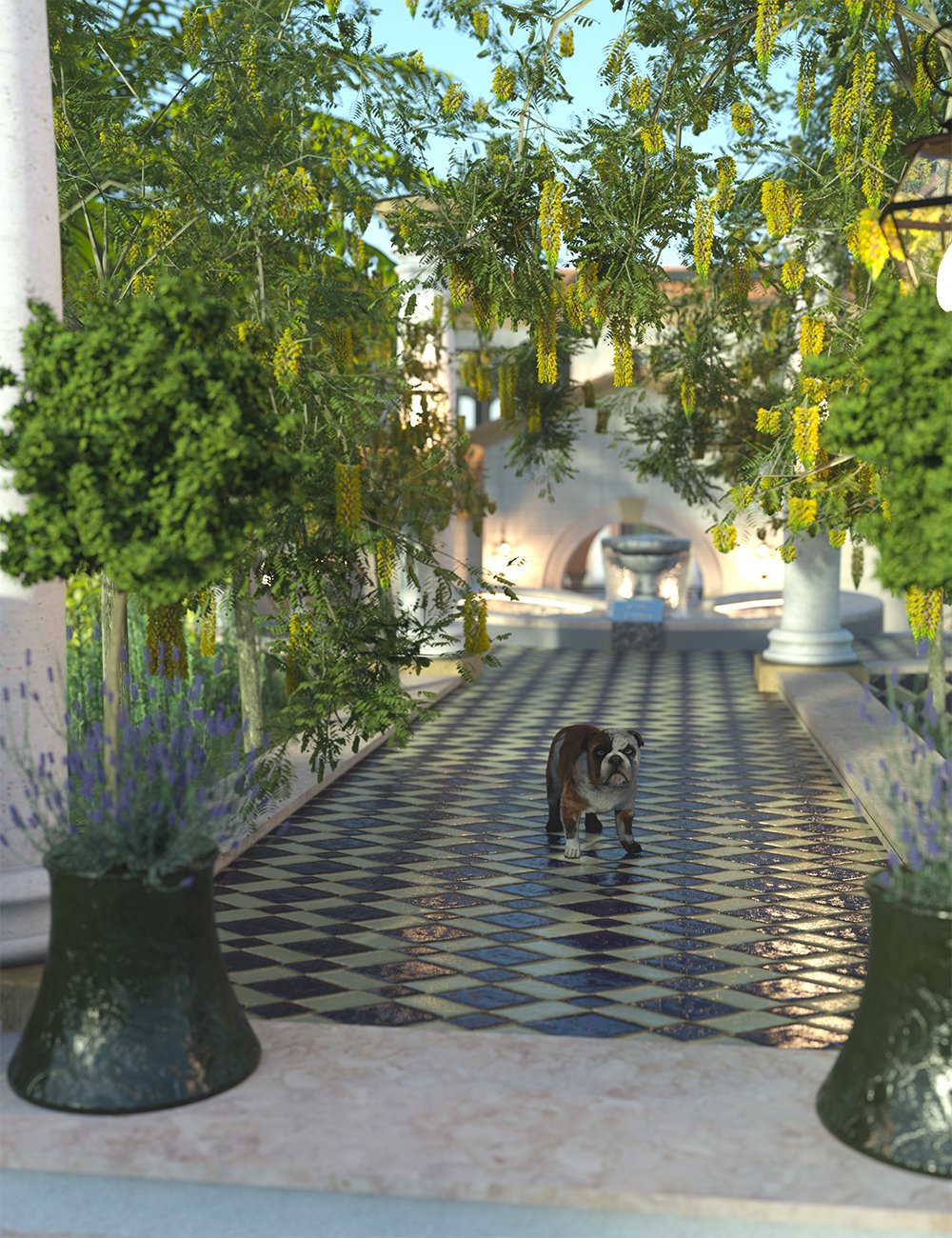 Flowering Trees - Laburnum