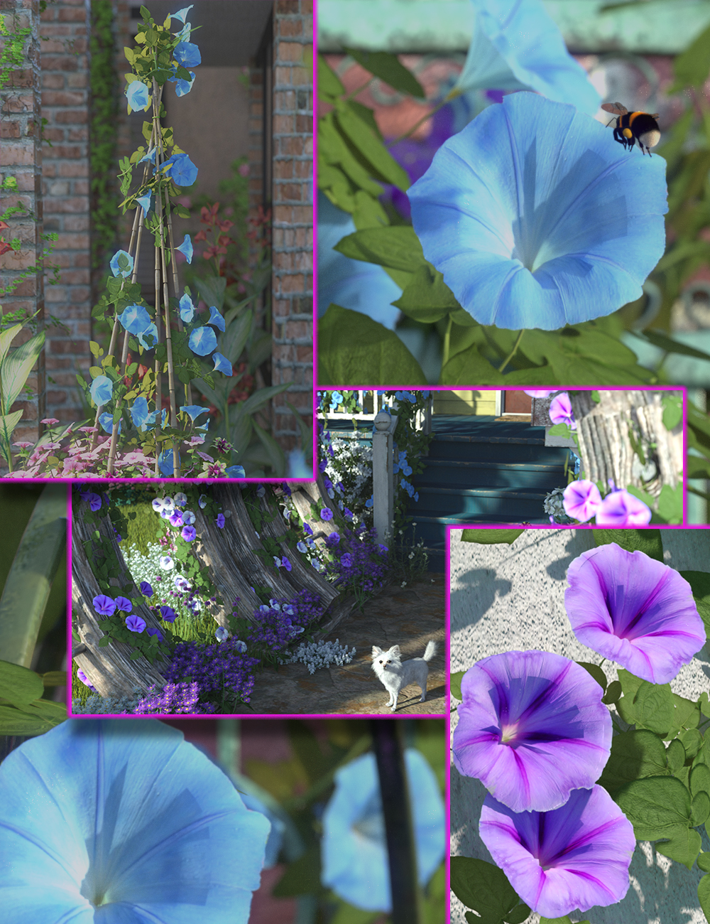 Scatters - Morning Glory - With Ultra Scatter 2 Presets