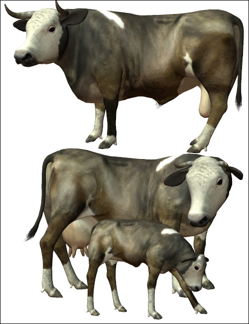 Noggin's Cattle Breeds Noggin's Cattle Breeds by: noggin, 3D Models by Daz 3D