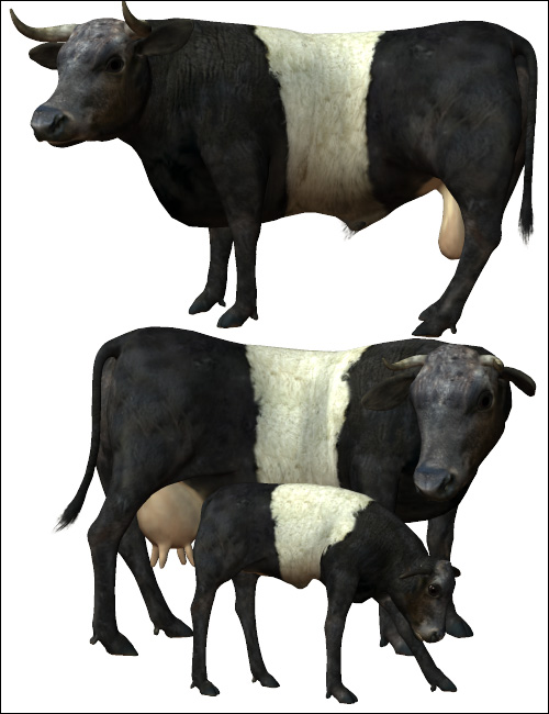 Noggin's Cattle Breeds by: noggin, 3D Models by Daz 3D