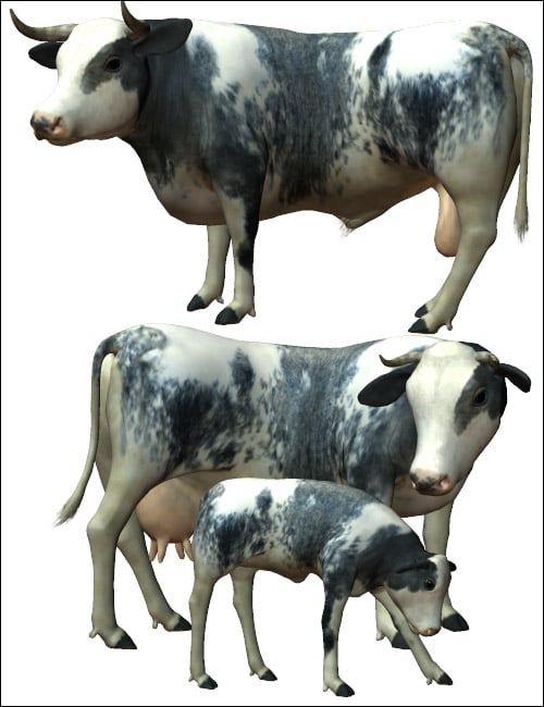 Noggin's Cattle Breeds Noggin's Cattle Breeds by: noggin, 3D Models by Daz 3D