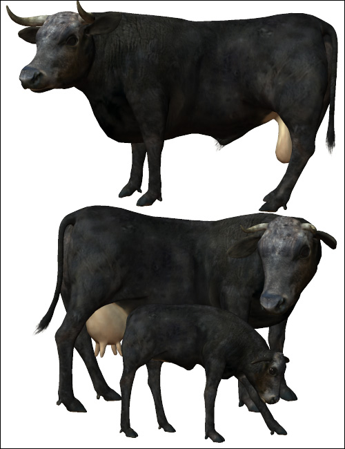 Noggin's Cattle Breeds by: noggin, 3D Models by Daz 3D