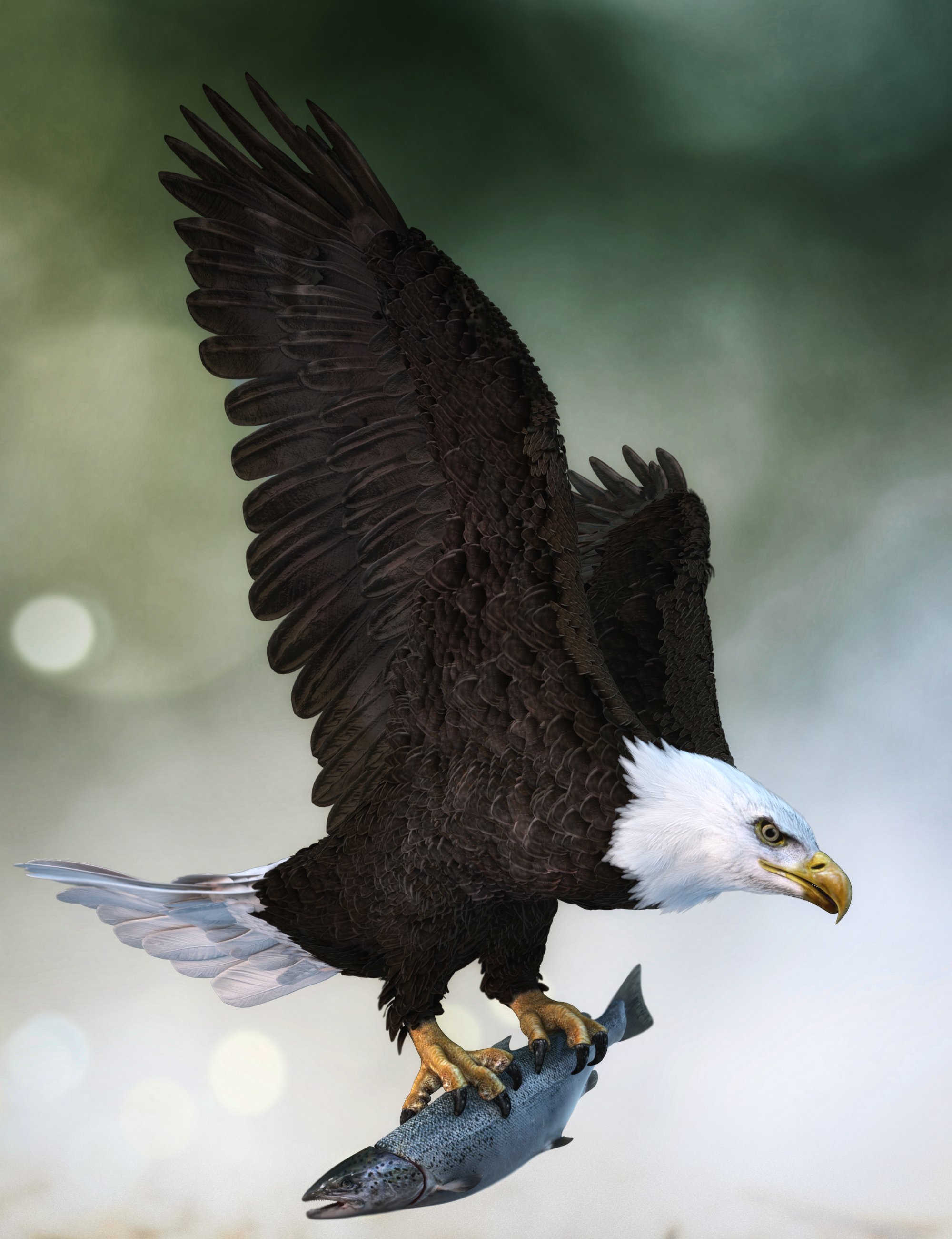 Bald Eagle by AM by: Alessandro_AM, 3D Models by Daz 3D