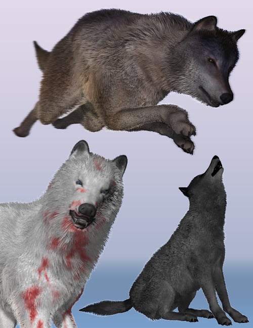 Wolf by AM Wolf by AM by: Alessandro_AM, 3D Models by Daz 3D