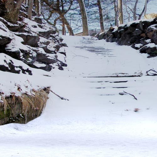 Cyclorama: Snow Dale Backgrounds Cyclorama: Snow Dale Backgrounds by: , 3D Models by Daz 3D