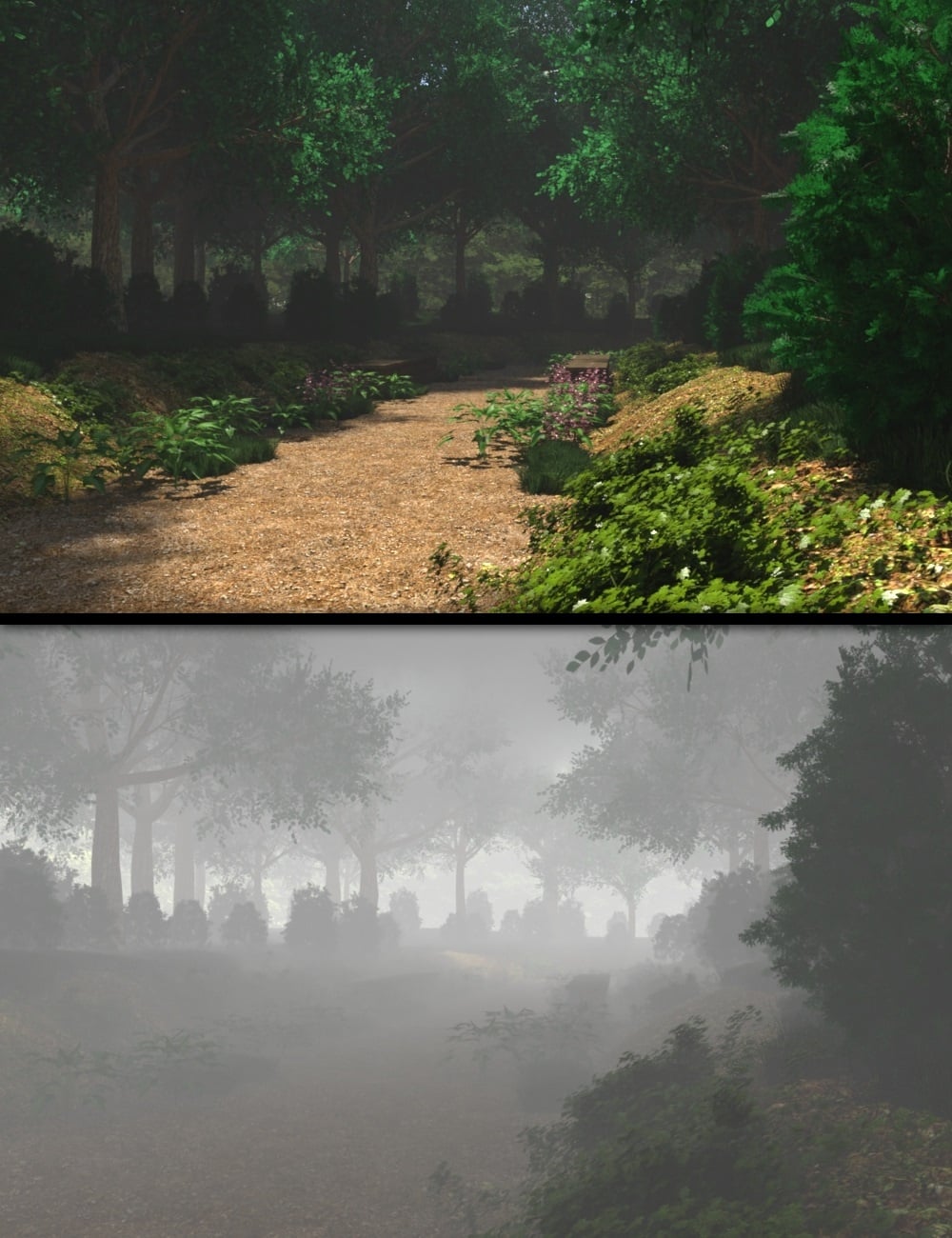 My Walking Place by: JeffersonAF, 3D Models by Daz 3D
