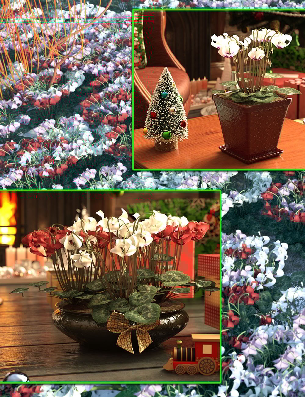 Christmas Cyclamen - LR Plants for DS by: MartinJFrost, 3D Models by Daz 3D