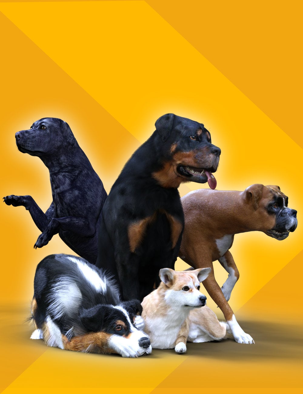 DA Pawfect Poses for Daz Dog 8 by: Design Anvil, 3D Models by Daz 3D