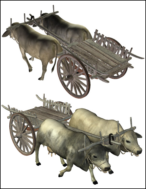 Noggin's Brahman Cow and Bull by: noggin, 3D Models by Daz 3D