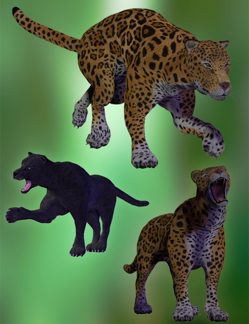 Jaguars by AM by: Alessandro_AM, 3D Models by Daz 3D