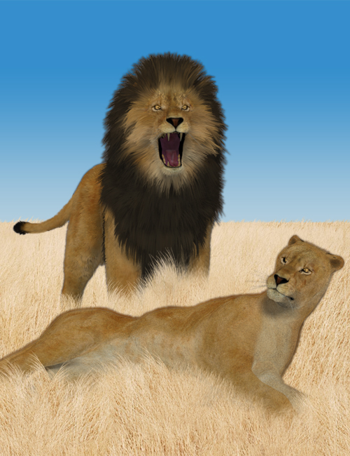 Lions by AM by: Alessandro_AM, 3D Models by Daz 3D