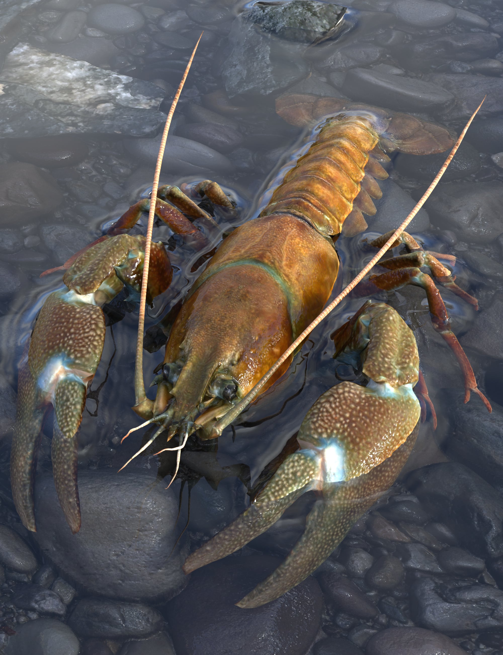 GCJ Crayfish by: GCJellyfish, 3D Models by Daz 3D