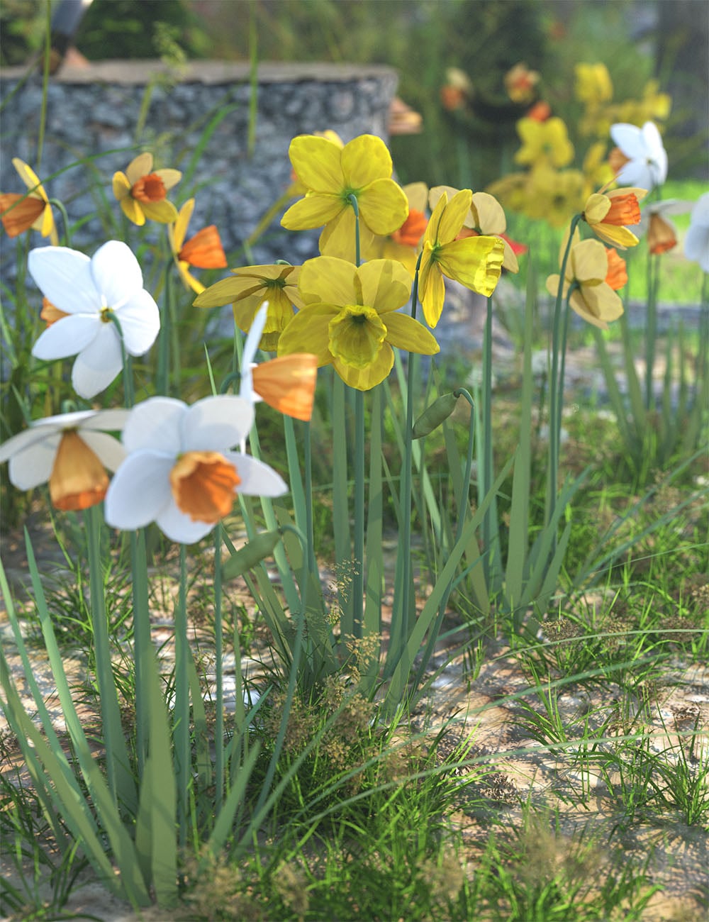 Spring Daffodil Flowers by: MartinJFrost, 3D Models by Daz 3D