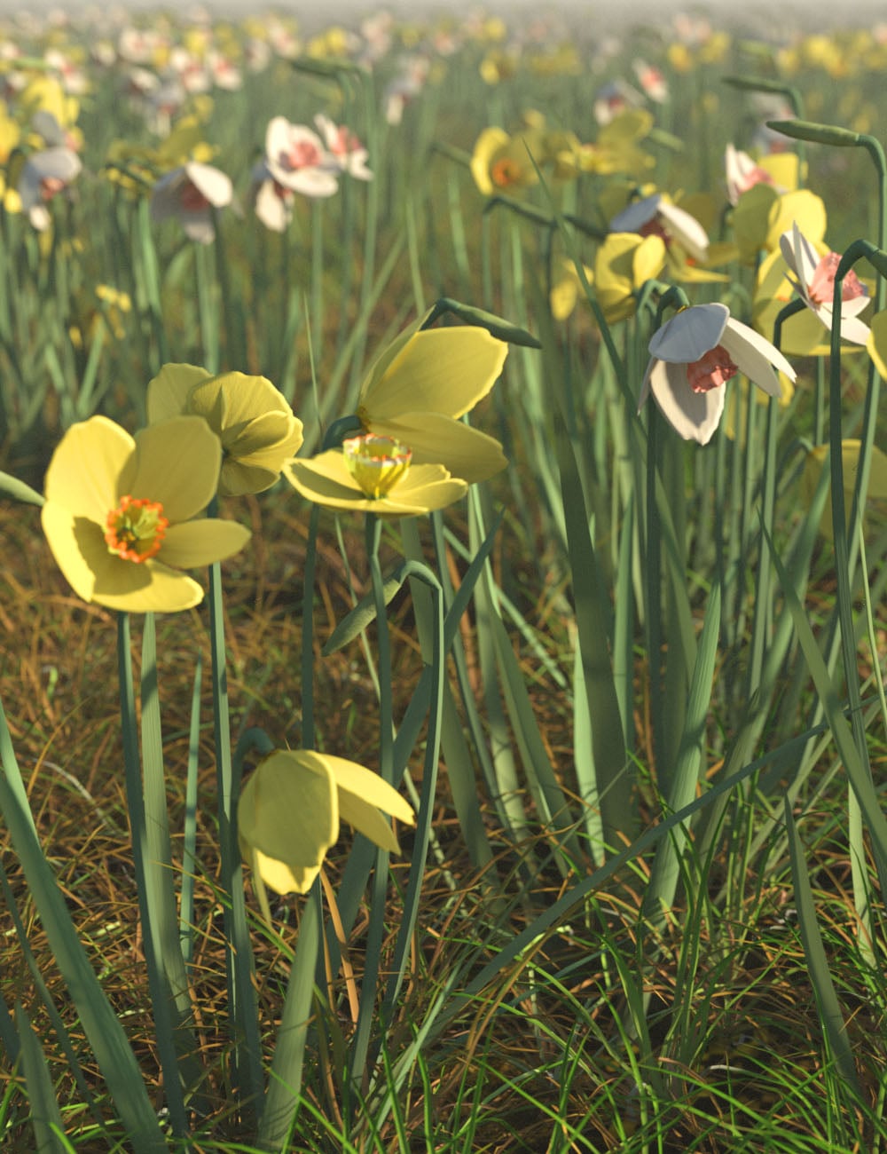 Spring Flowers - Narcissus by: MartinJFrost, 3D Models by Daz 3D