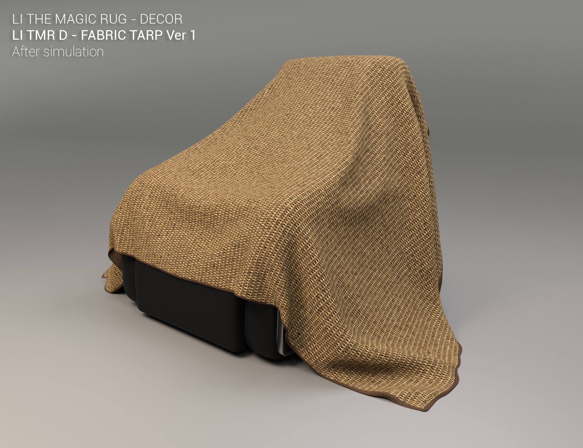 LI The Magic Rug - Fabrics 01 | Daz 3D