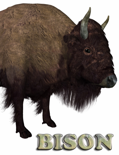 Noggin's Bison by: noggin, 3D Models by Daz 3D