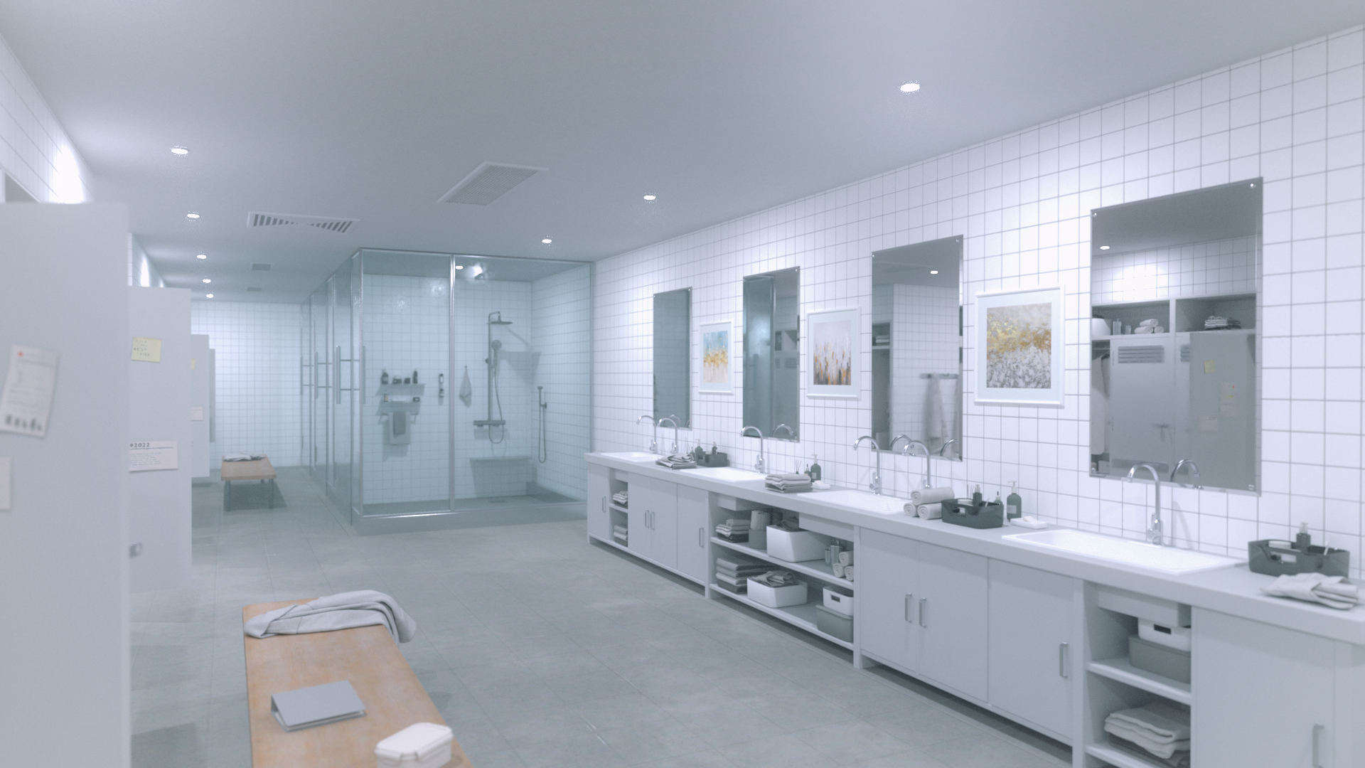 Polish Shower Locker Room