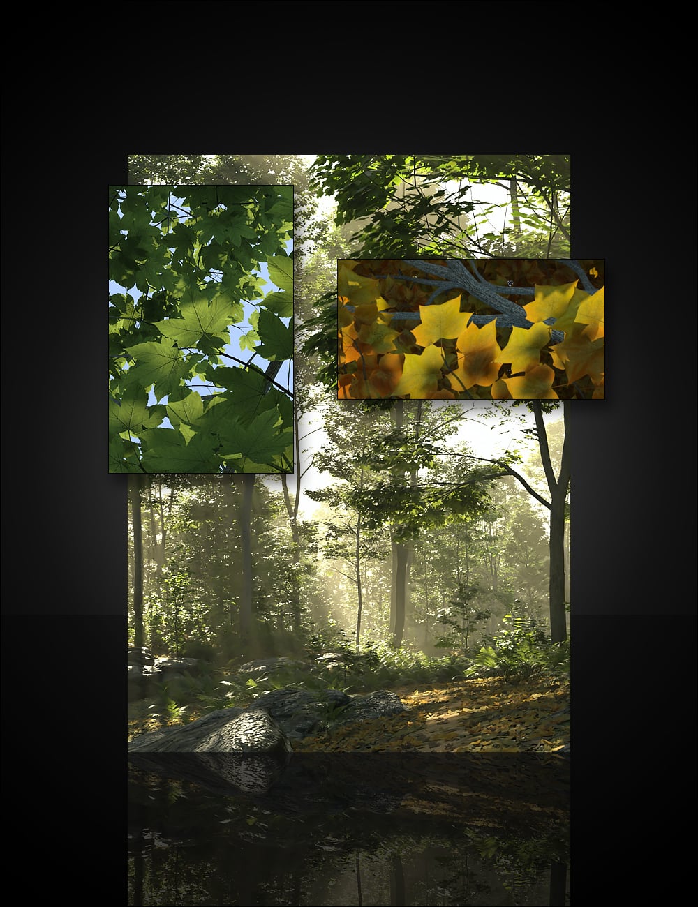 UltraScenery2 - Maple Forest by: HowieFarkes, 3D Models by Daz 3D