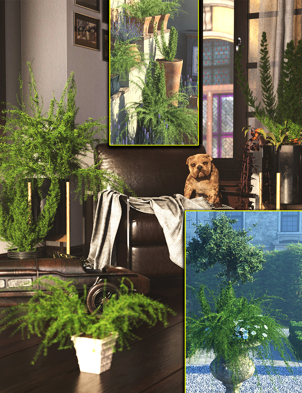 House Plants - Asparagus Ferns by: MartinJFrost, 3D Models by Daz 3D