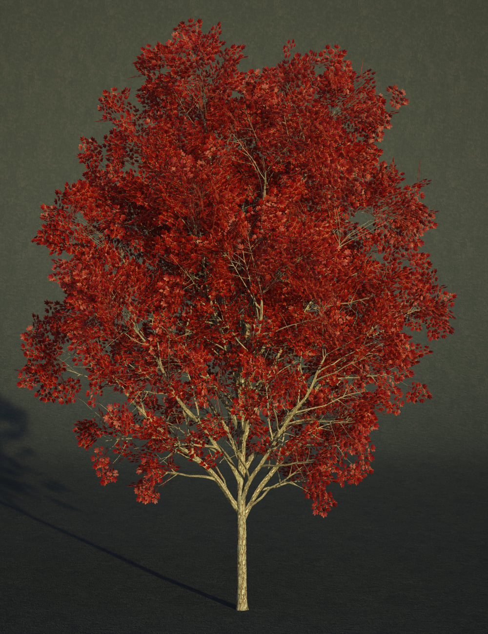 FN Seasonal Maple Tree Collection by: Feng, 3D Models by Daz 3D