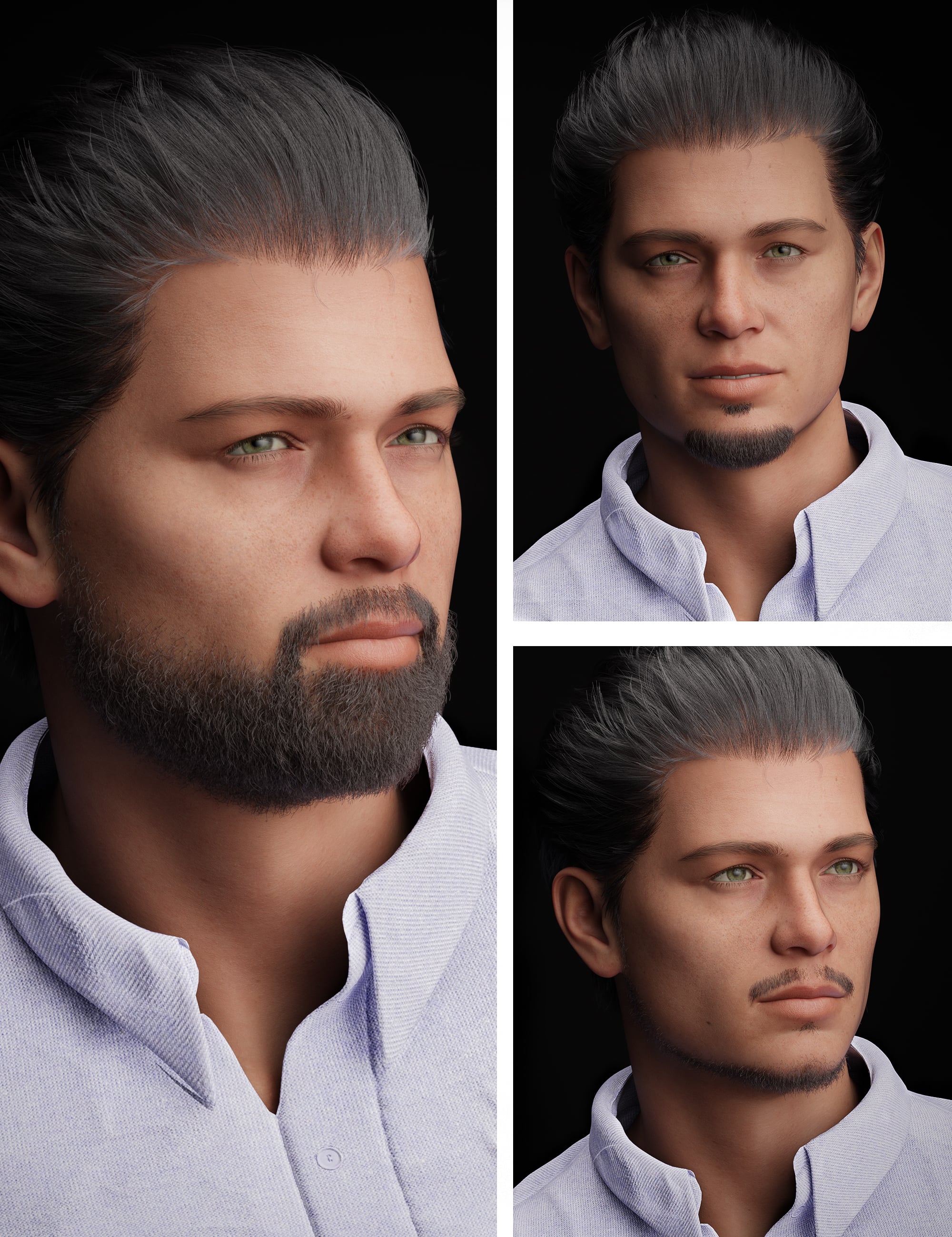 HS Everyday Beard Set for Genesis 8 Male and Genesis 9 by: Hair Studio, 3D Models by Daz 3D