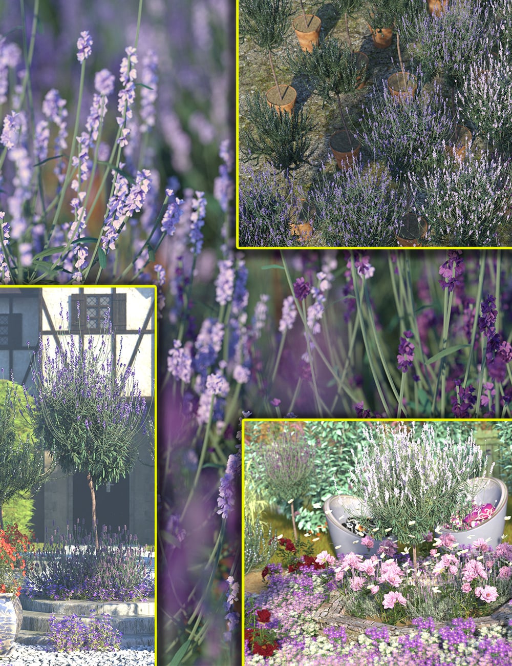 Formal Herb Bushes by: MartinJFrost, 3D Models by Daz 3D