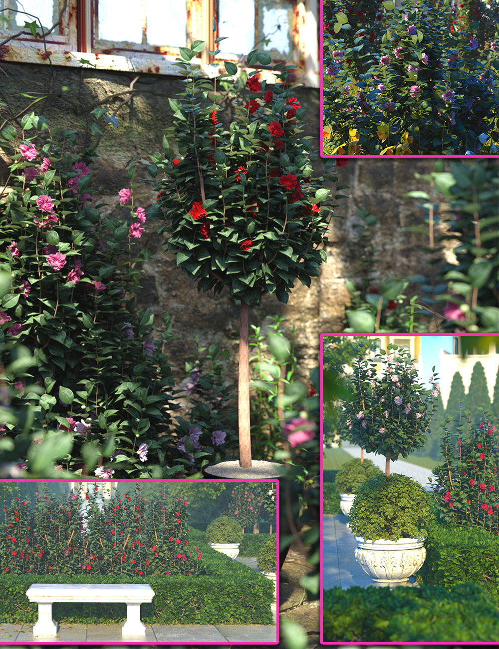 Low Res Camellia Bushes by: MartinJFrost, 3D Models by Daz 3D