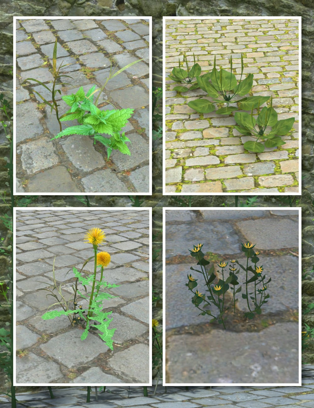 Urban Weeds by: Fantasyart3D, 3D Models by Daz 3D