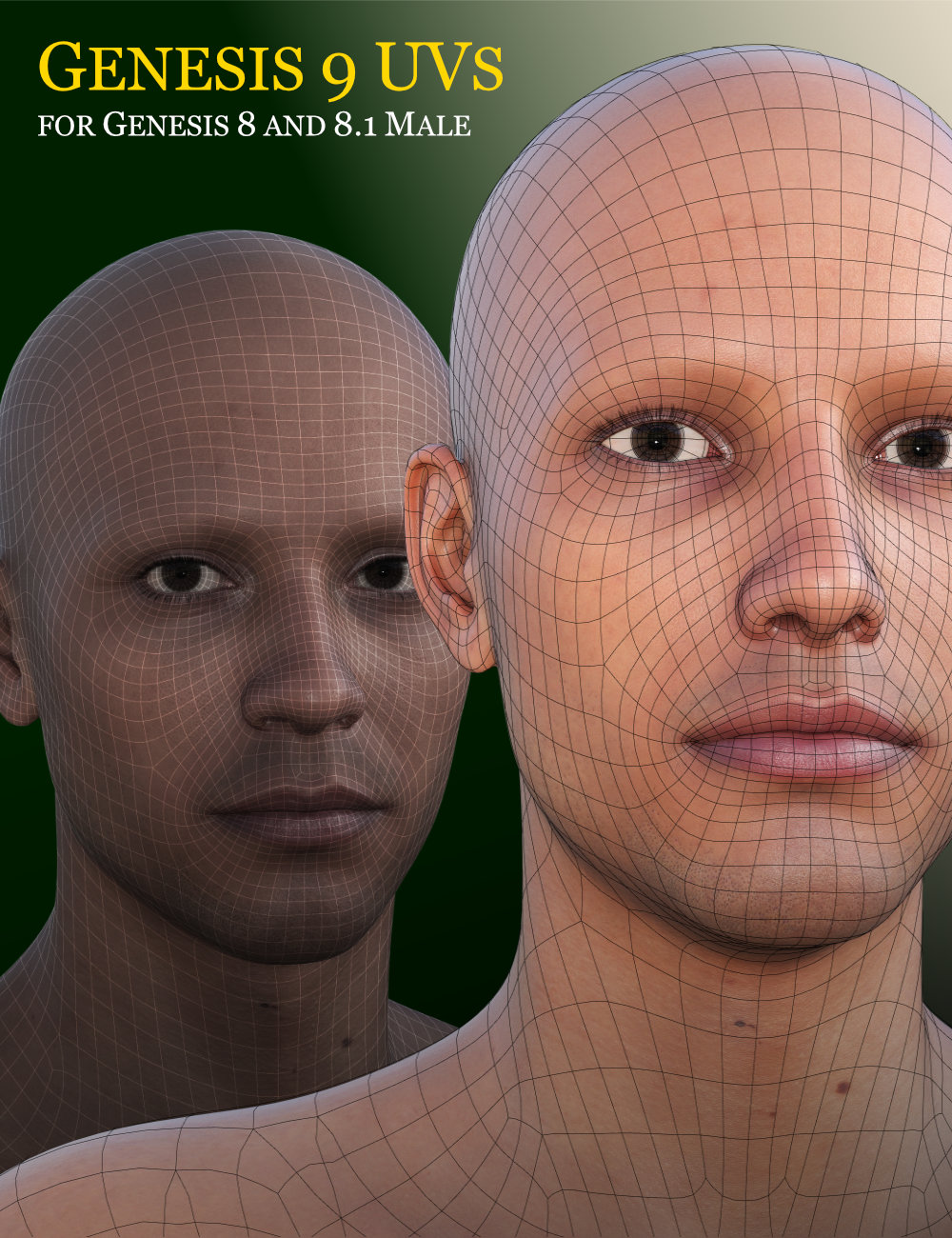Genesis 9 UVs for Genesis 8 and 8.1 Male by: Cayman Studios, 3D Models by Daz 3D