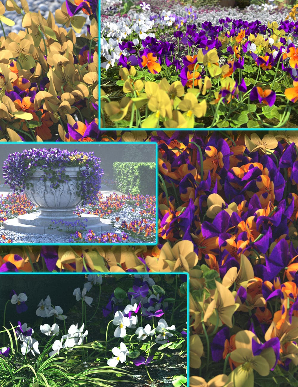 Cottage Garden Flowers - Violas by: MartinJFrost, 3D Models by Daz 3D